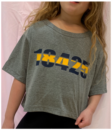 Camp Two Color Cropped T-Shirt