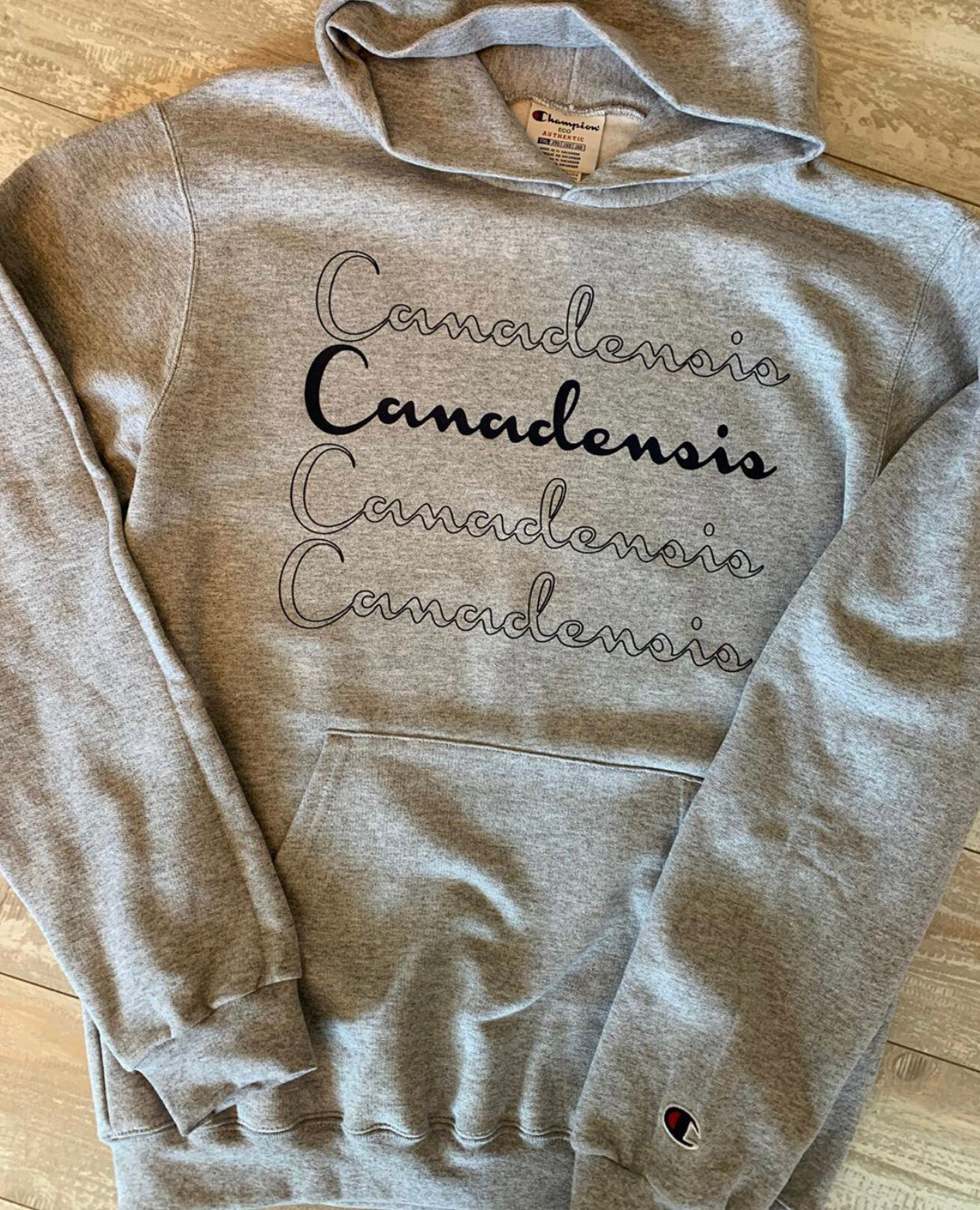 Champion Camp Repeat Hoodie