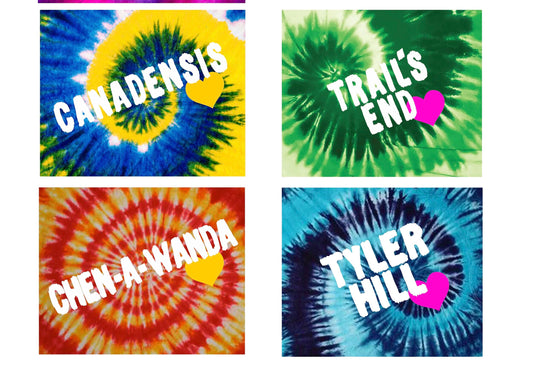 Tie dye Paint Font Blanket